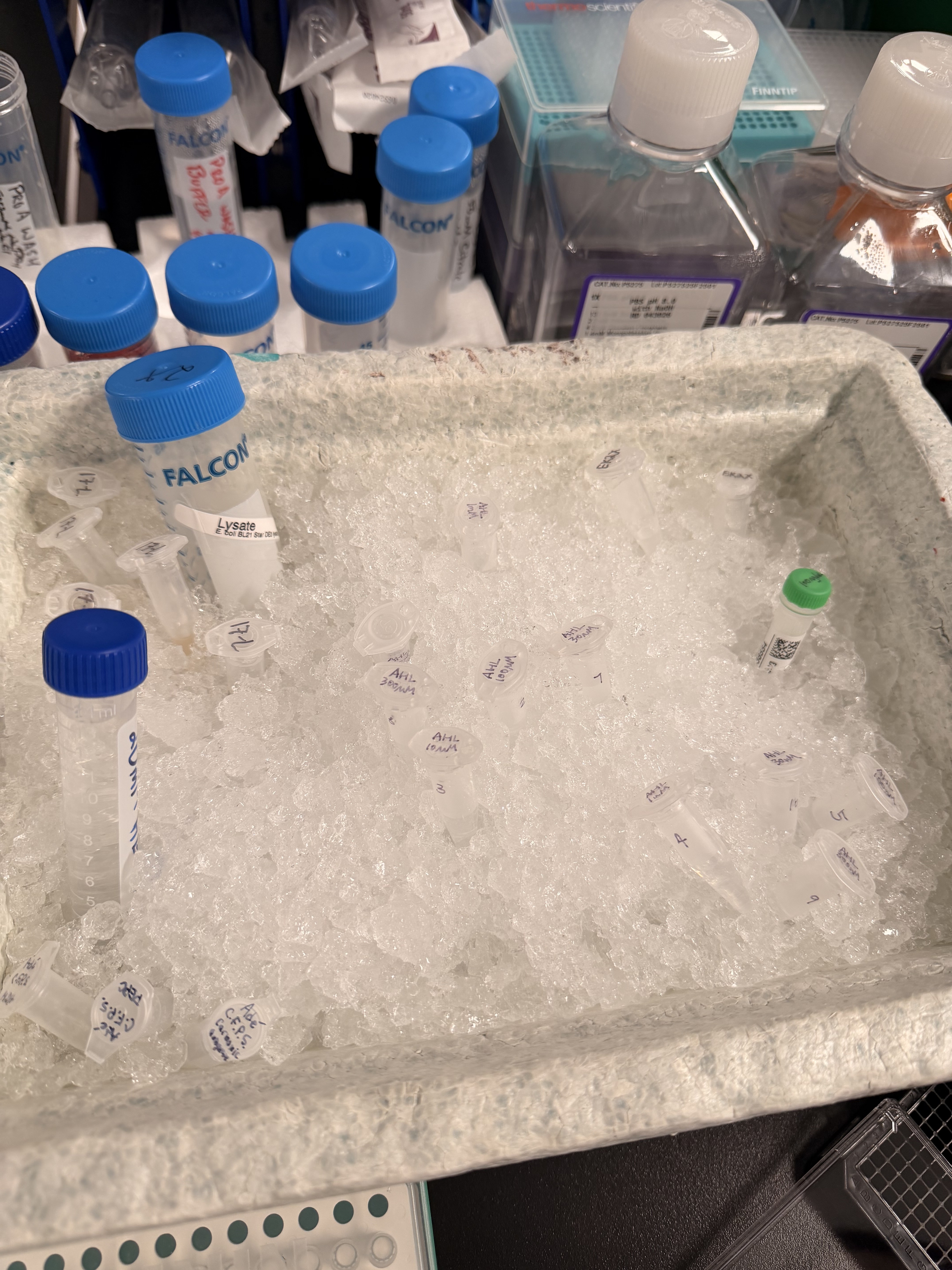 Project image 1