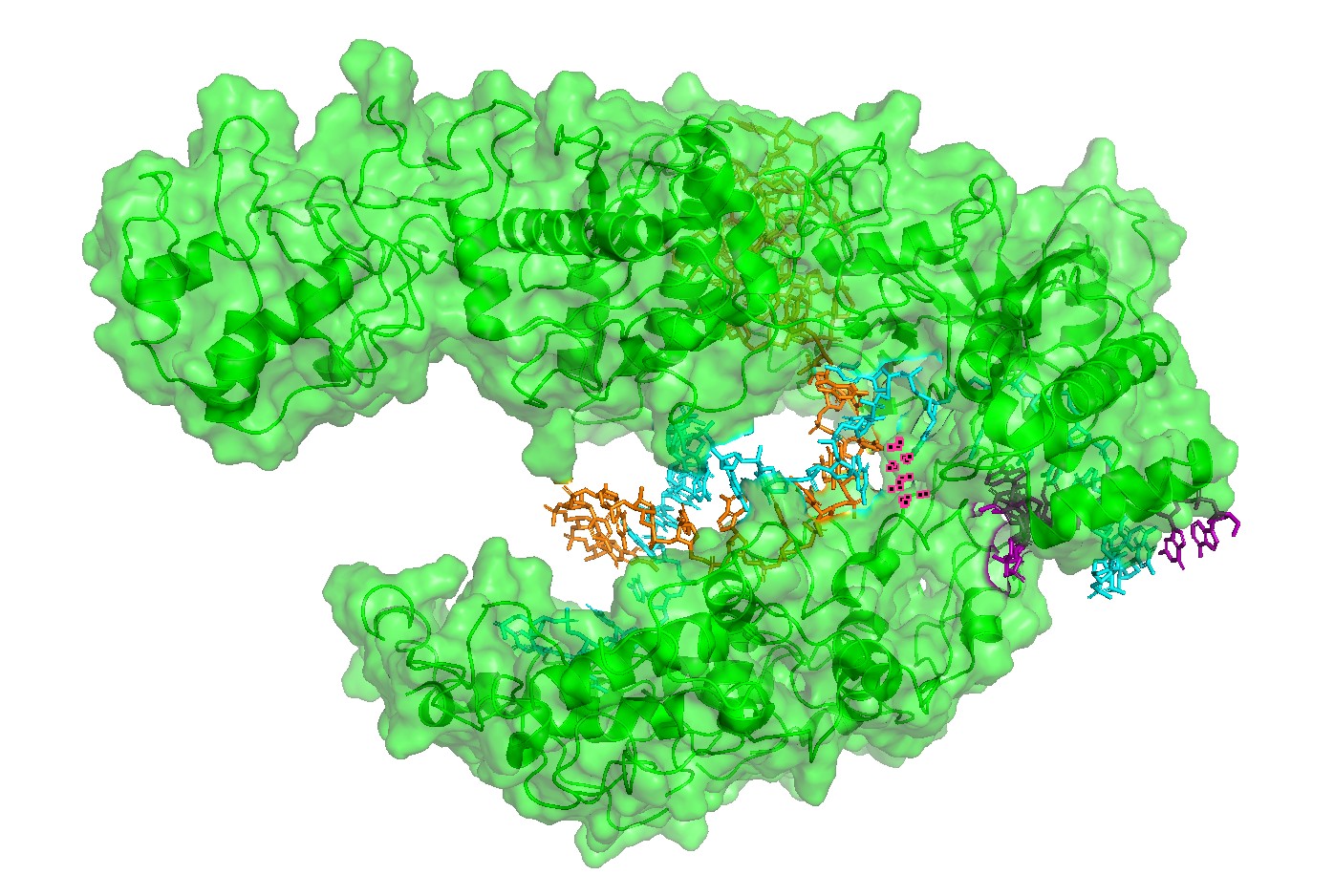 Alternative surface/channel view of Cas12a