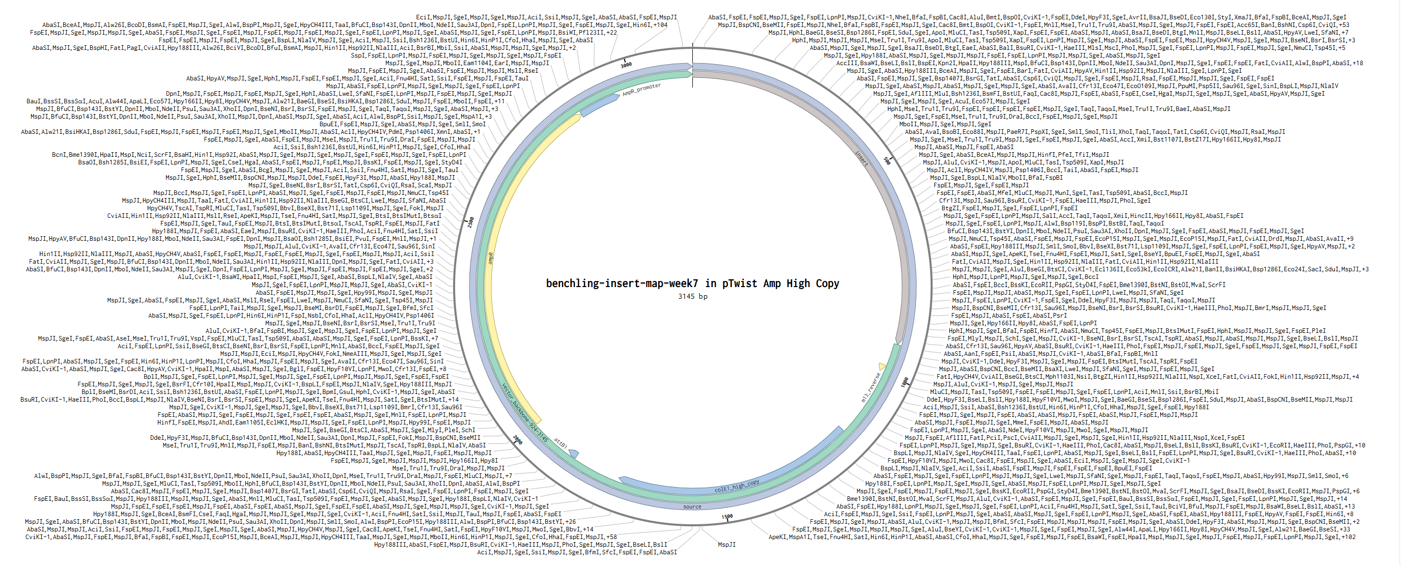 Plasmid construct with Twist backbone