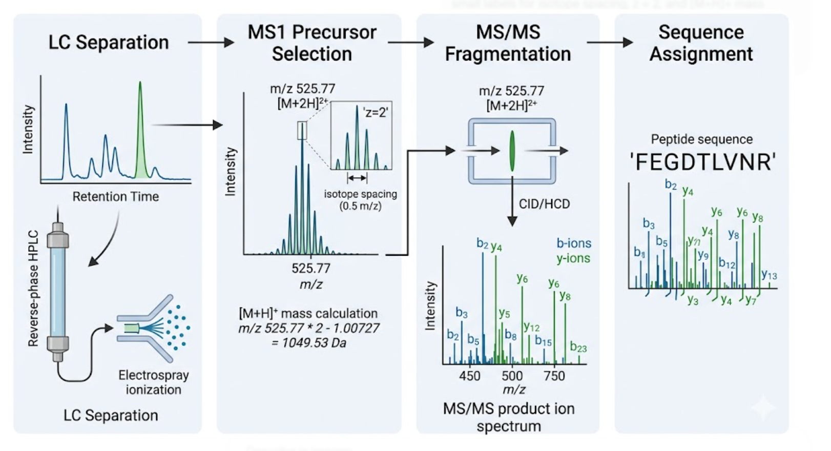 Figure 4. Peptide identification by LC-MS/MS for the eGFP digest.
