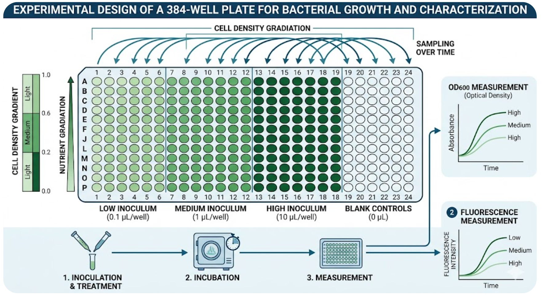Inoculation design