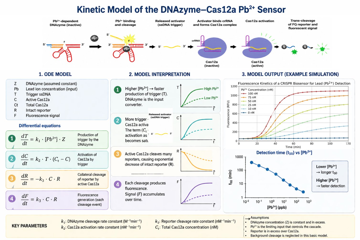 Full kinetic model summary slide