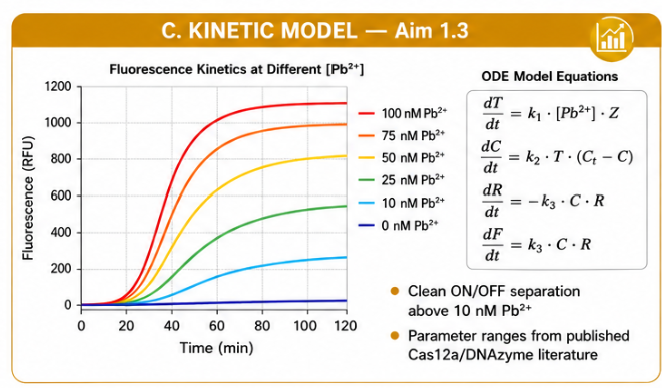 Kinetic model