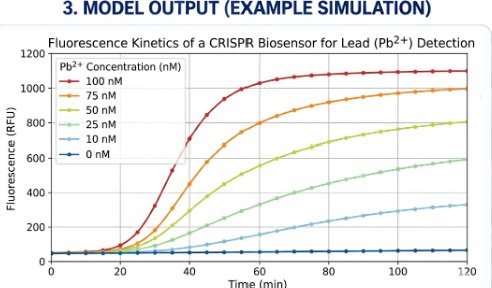 Fluorescence kinetics simulation