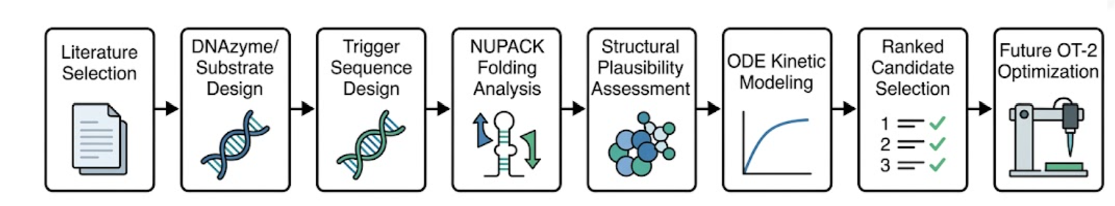 Aim 1 workflow diagram