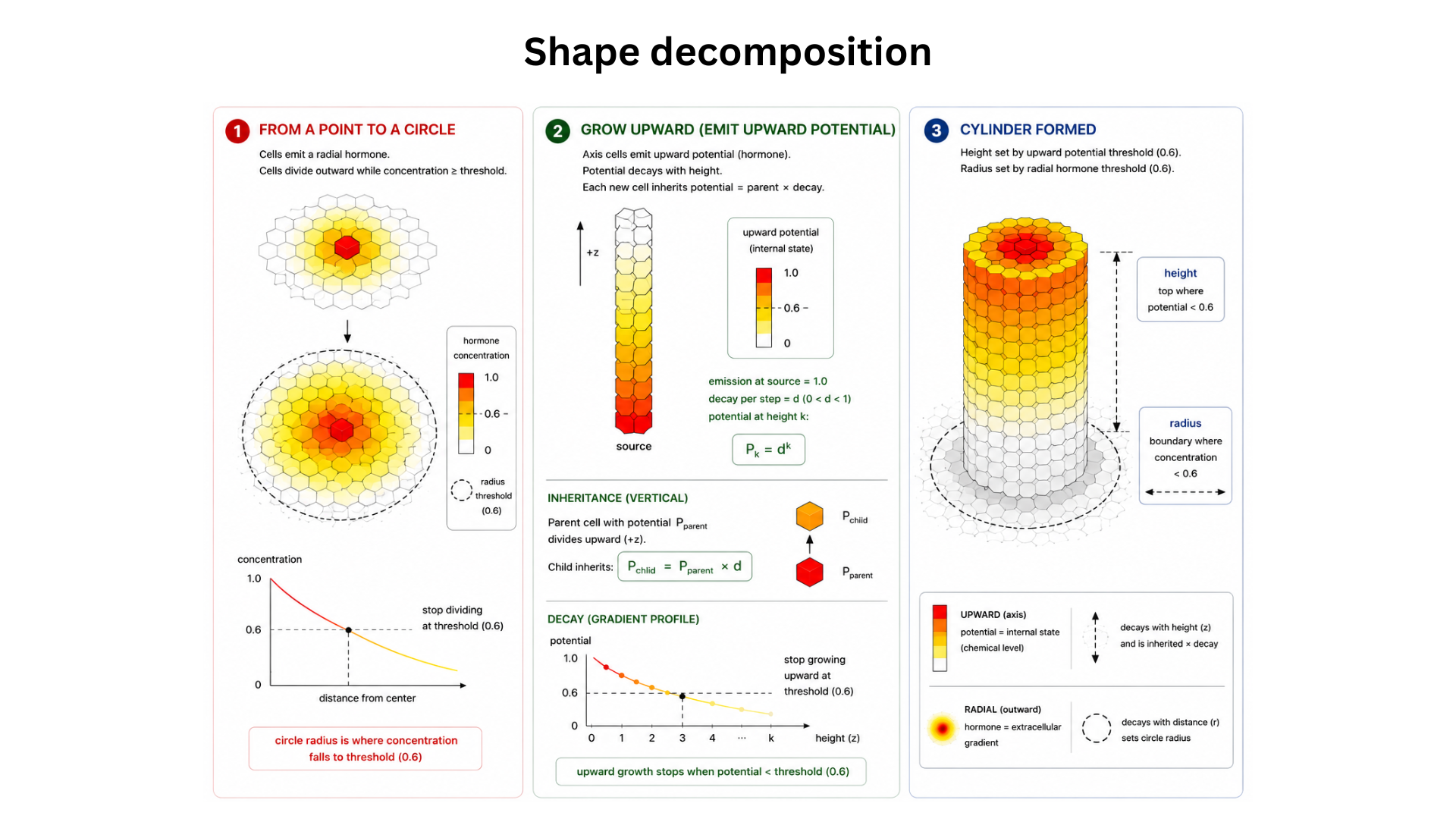Slide 11