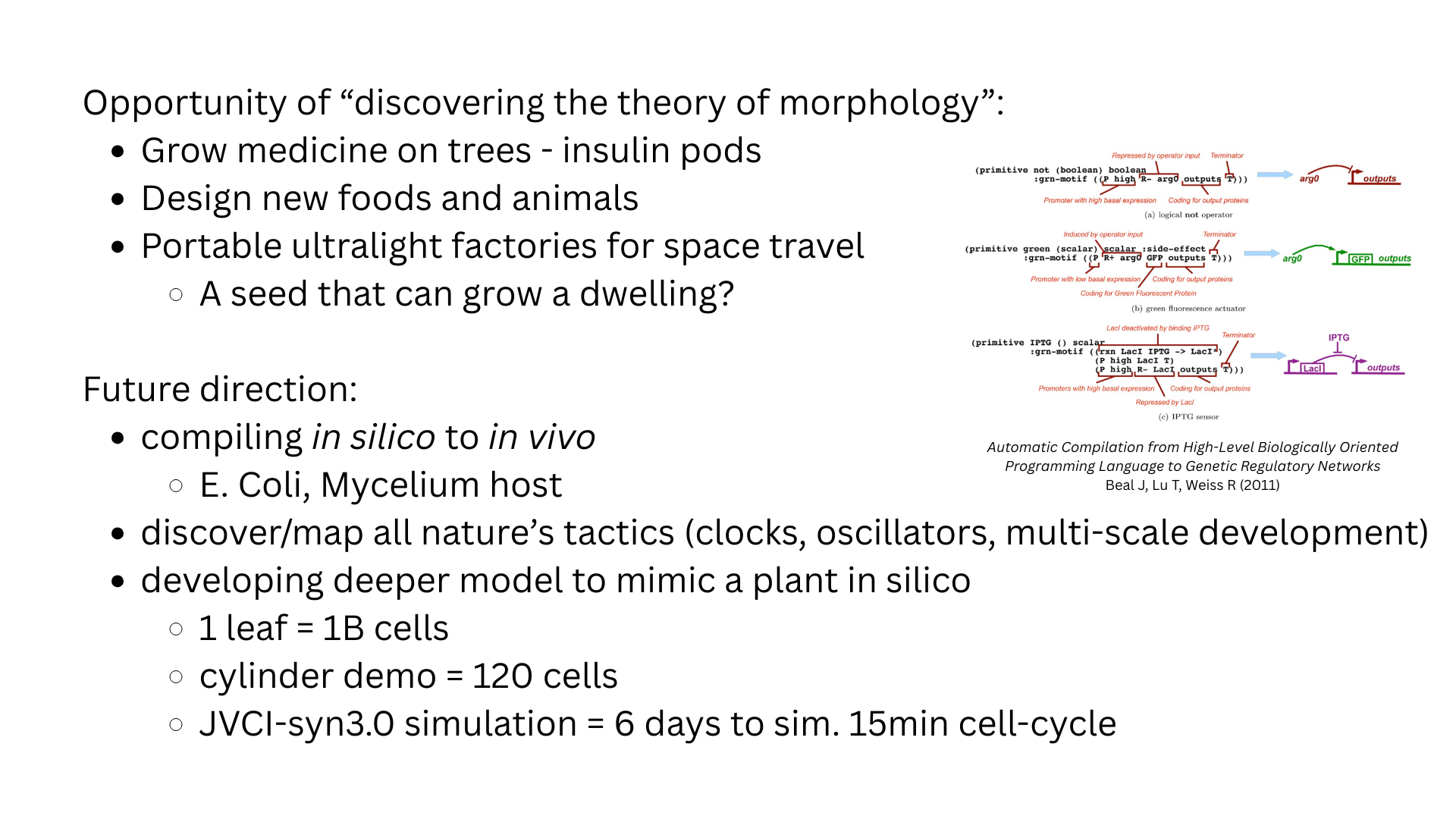 Slide 13