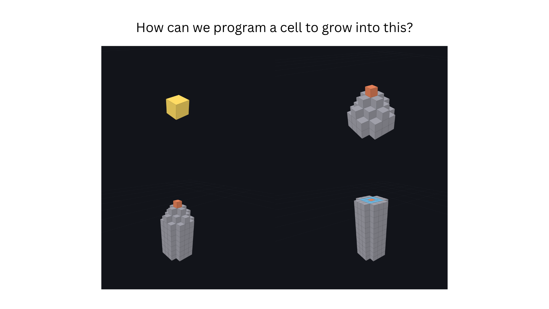Slide 5