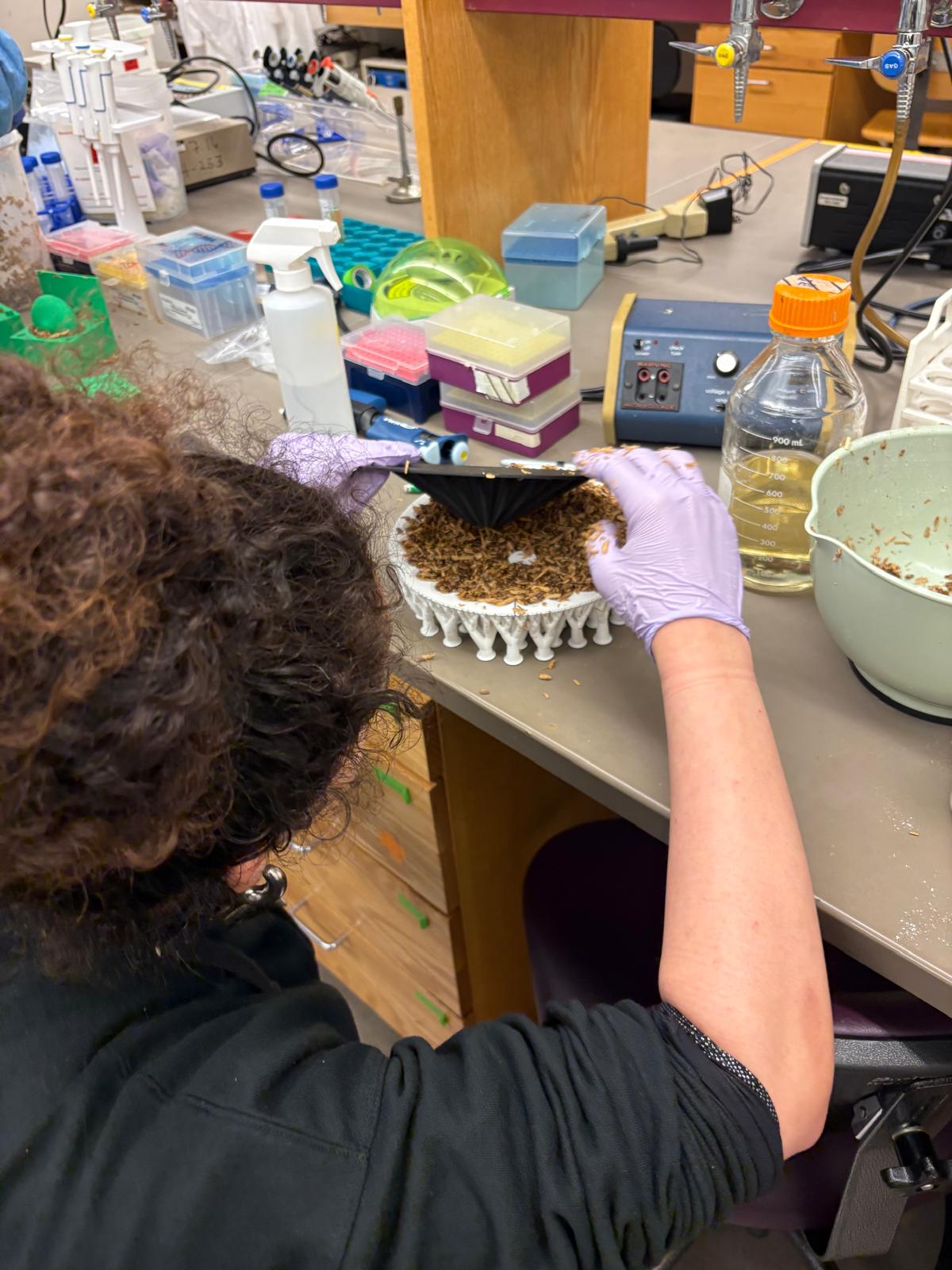 Filling the mold