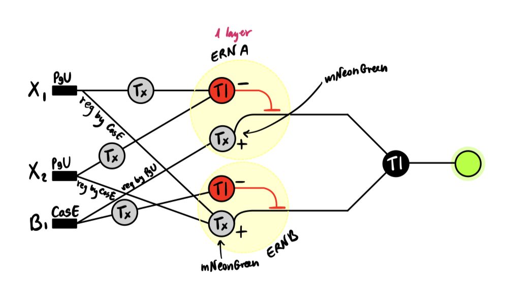 Final circuit design