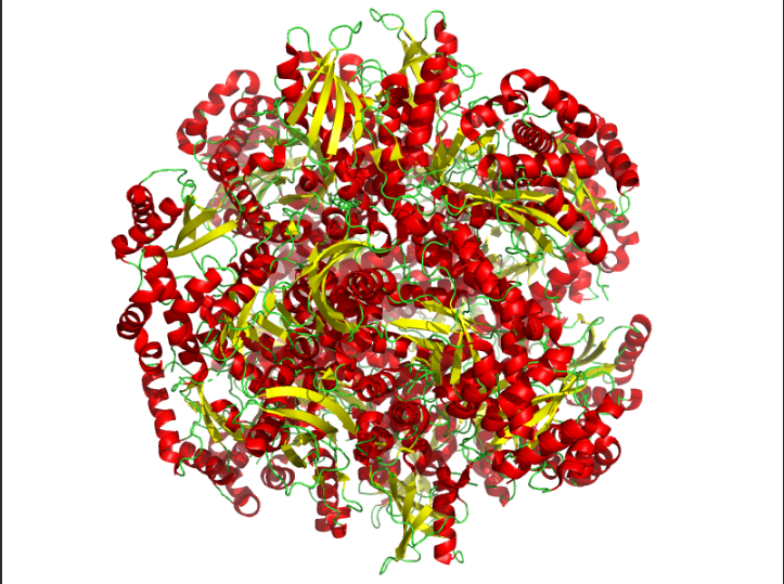 secondarystructure