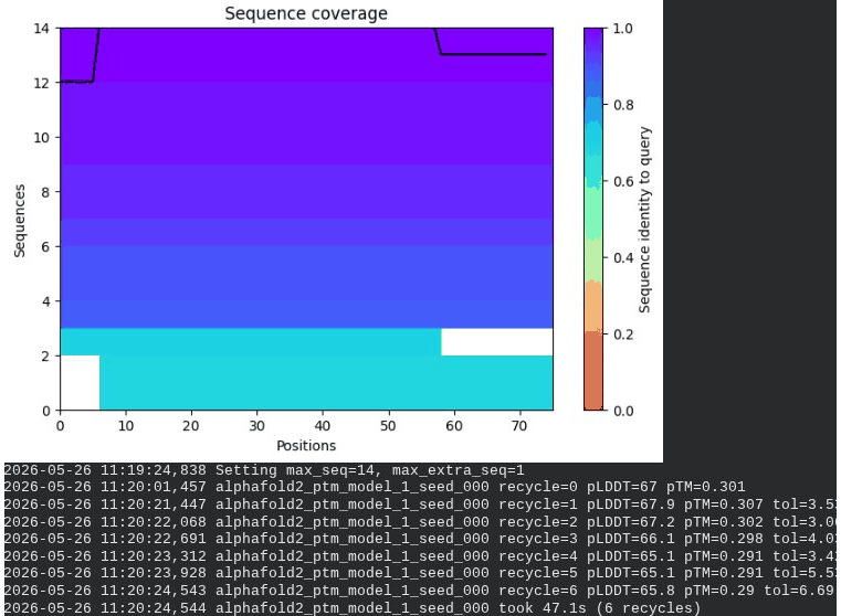 phage.gif