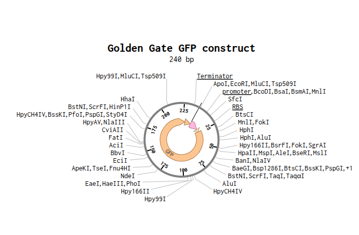 GGA.png