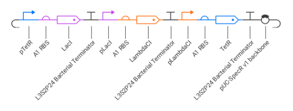 circuit.png
