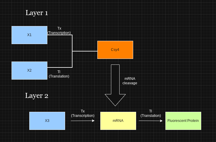 diagram.png