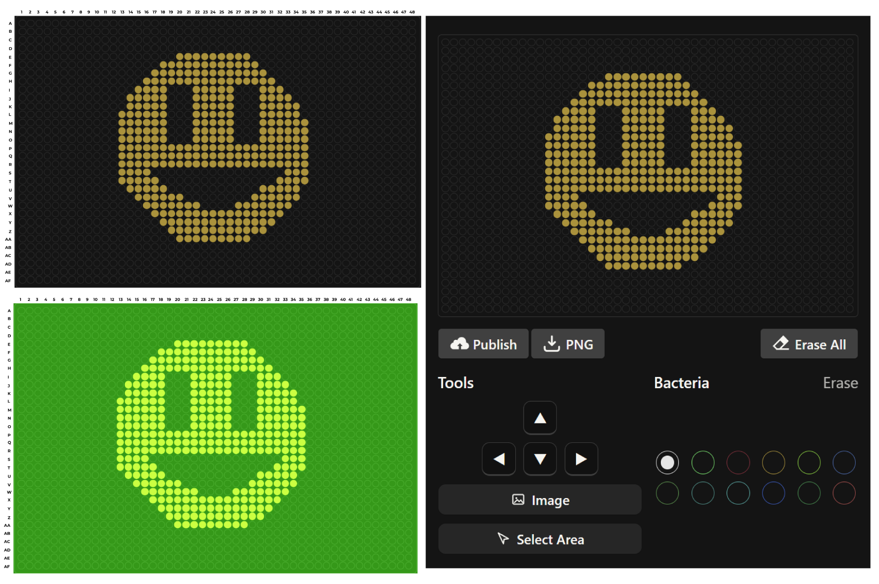 Accessibility text