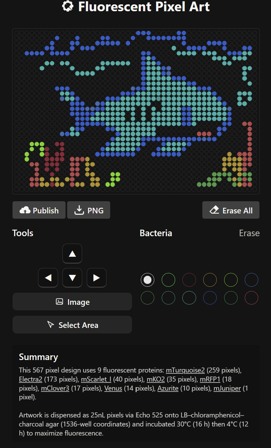 Accessibility text