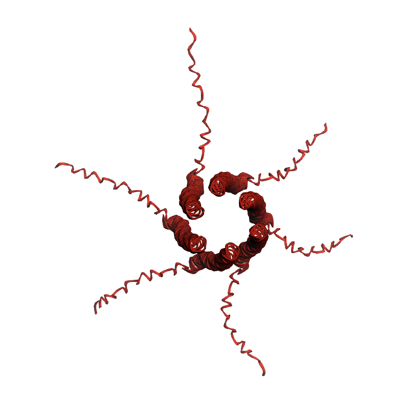 lysis-1