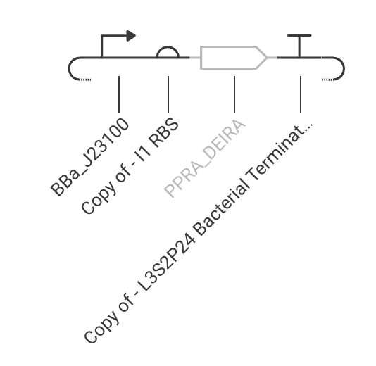 ppra