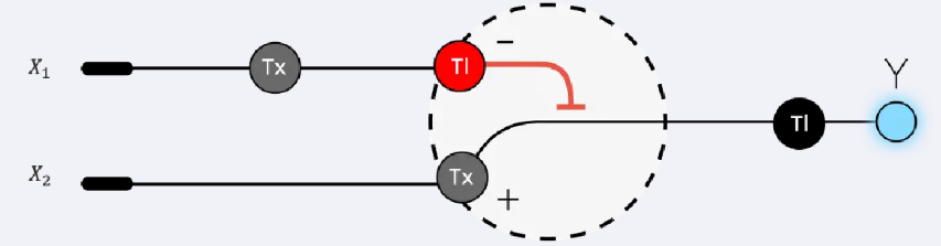 Perceptron diagram