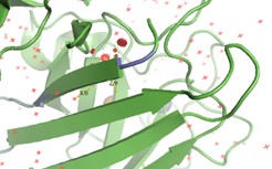 PyMol