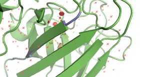 PyMol