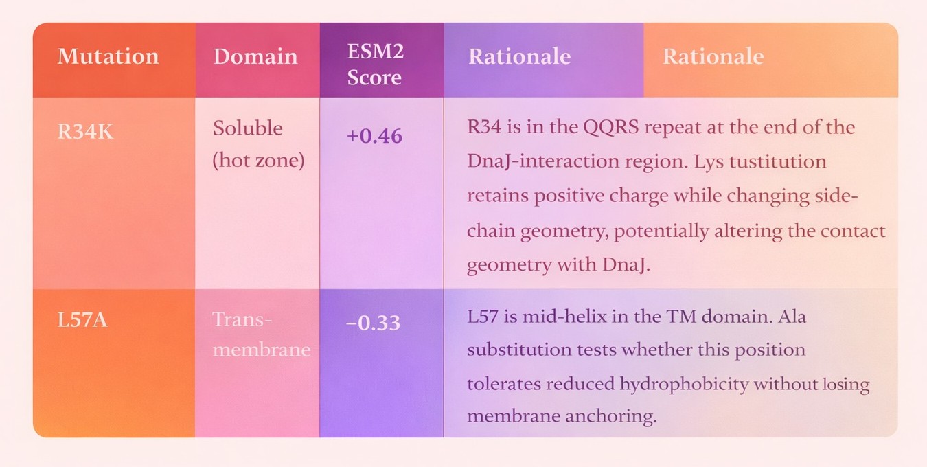SOD1