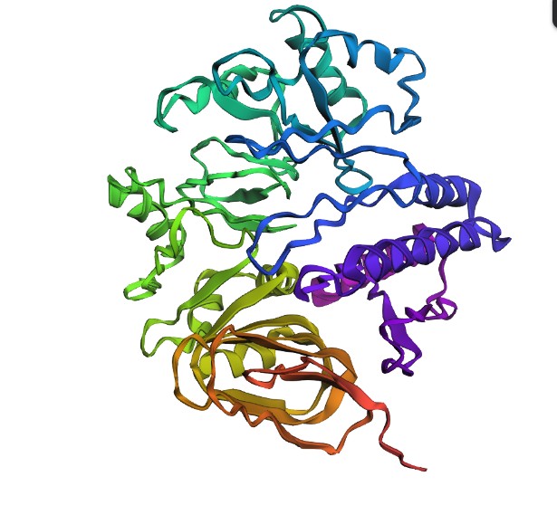 Bioe