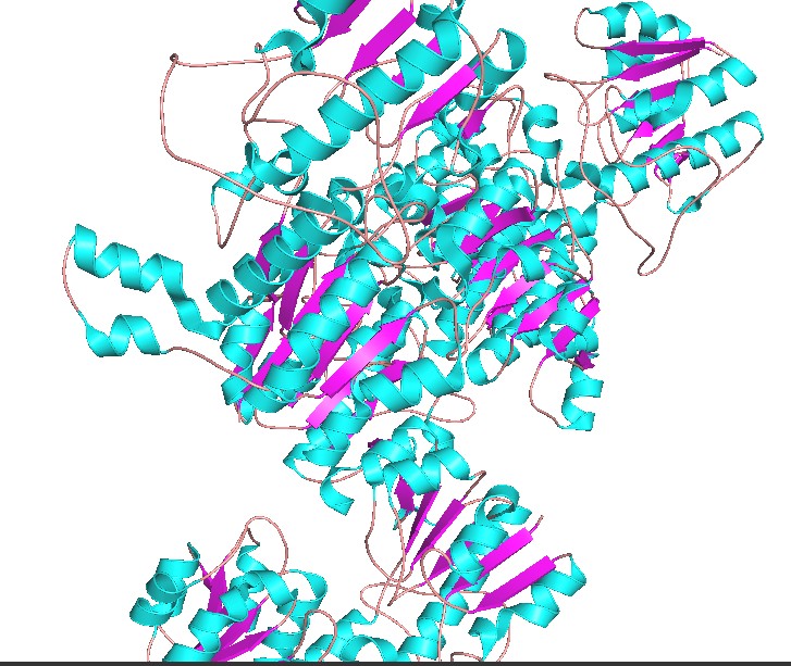Bioe