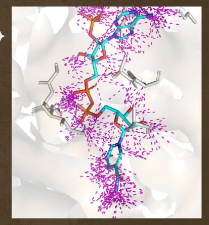 Bioe