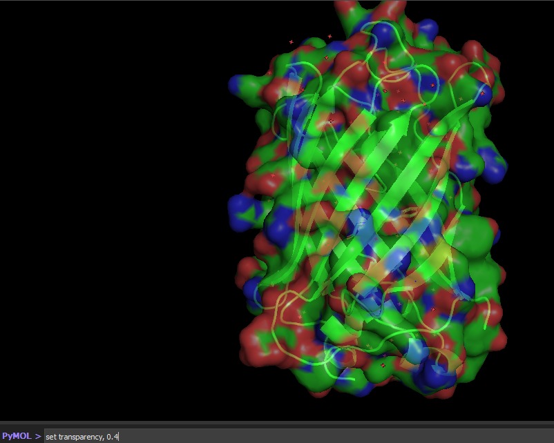 visjualizing protein surface