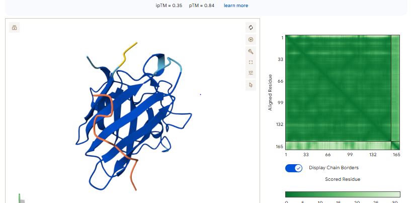 unknown peptide