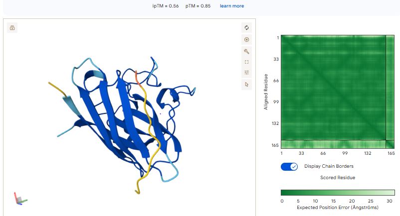 unknown peptide