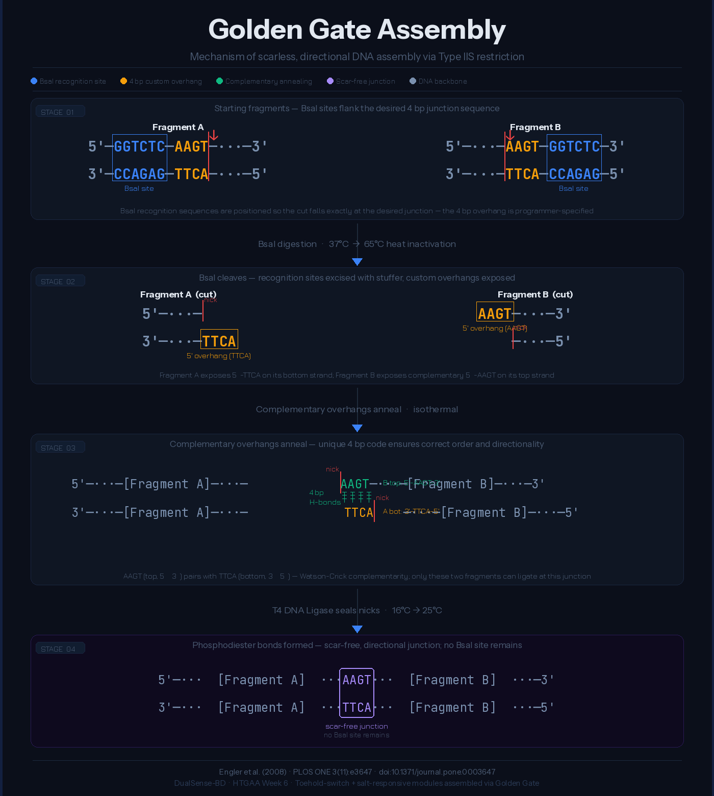 g_assembly