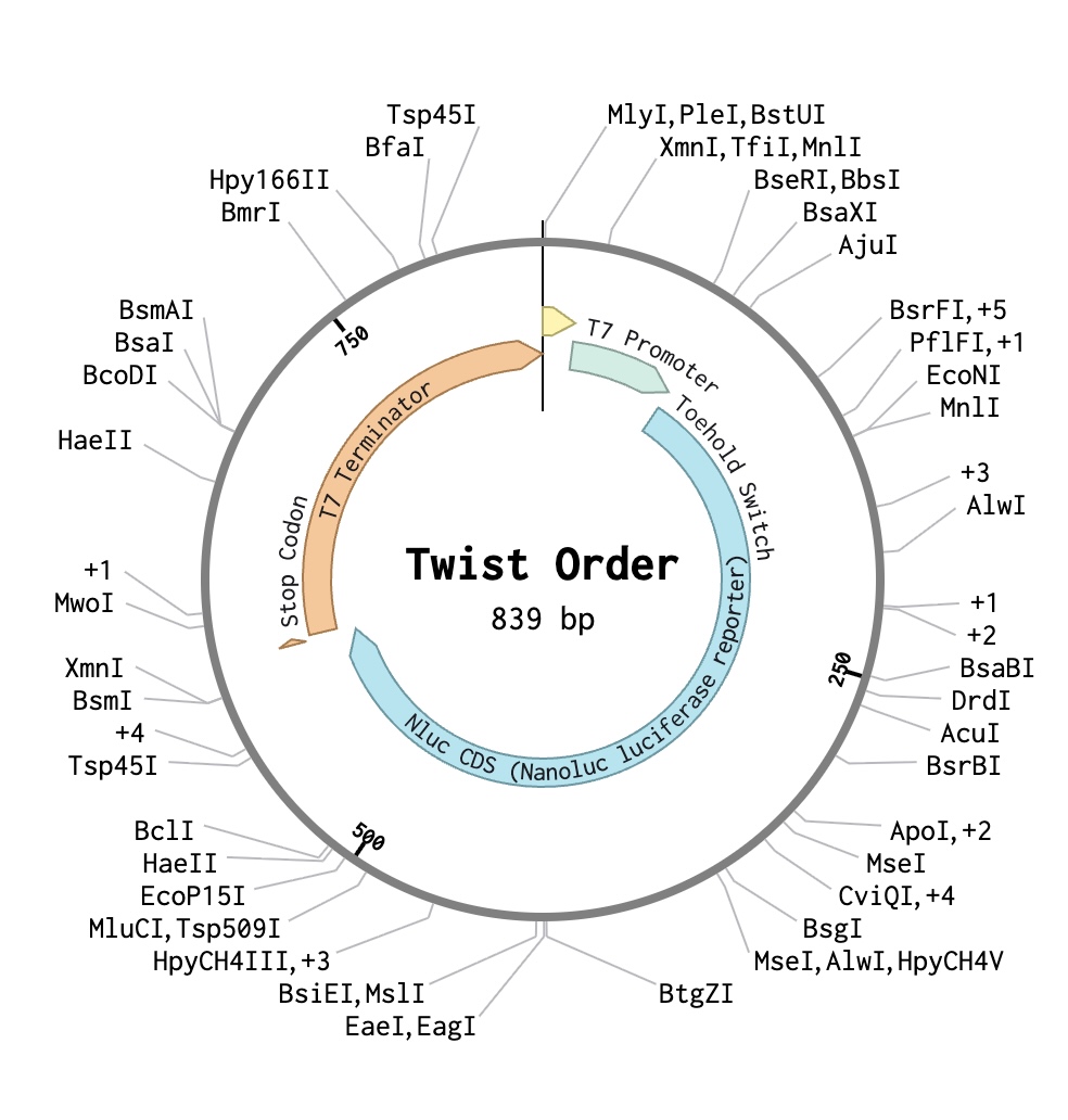 twist order