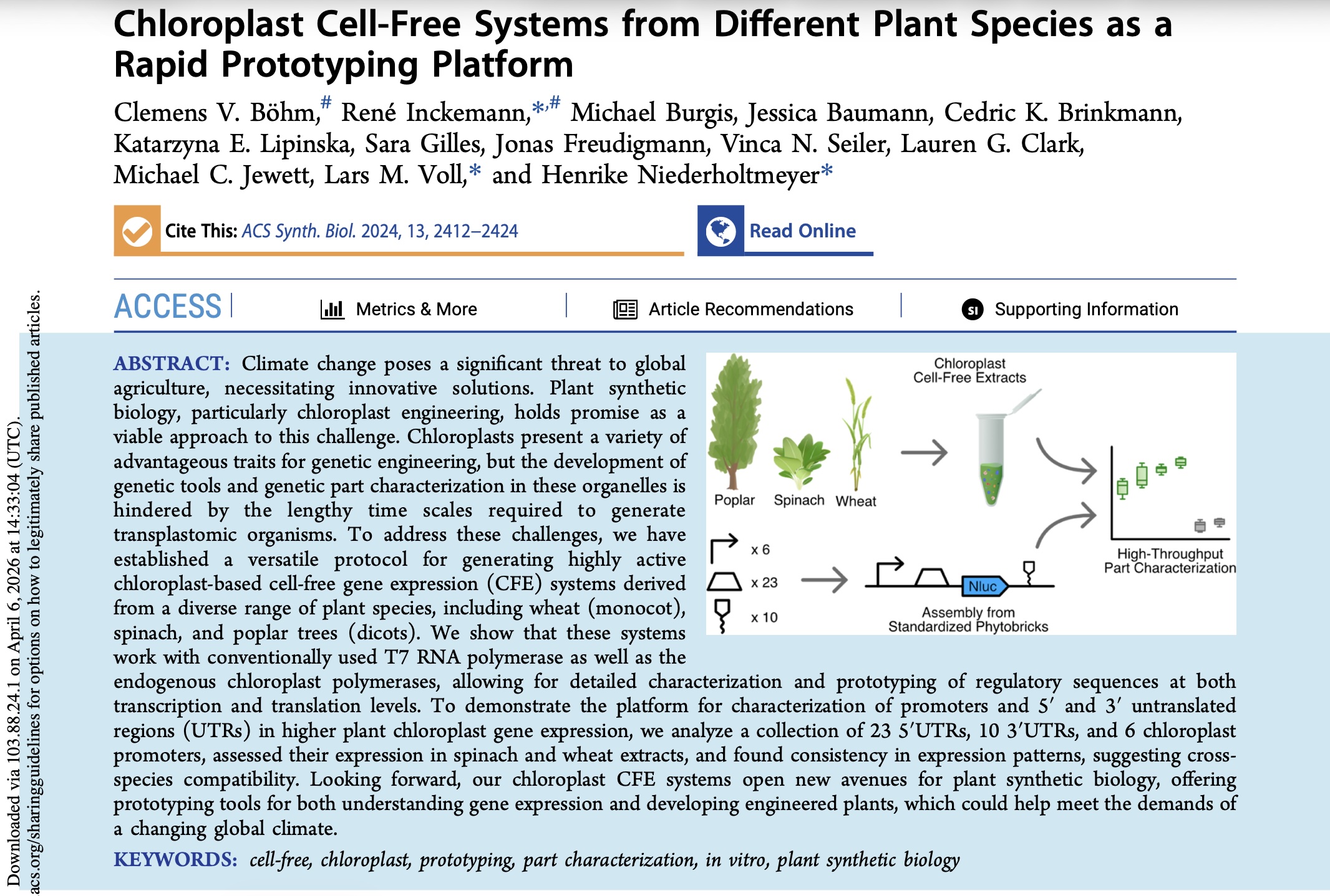 Bohm paper screenshot
