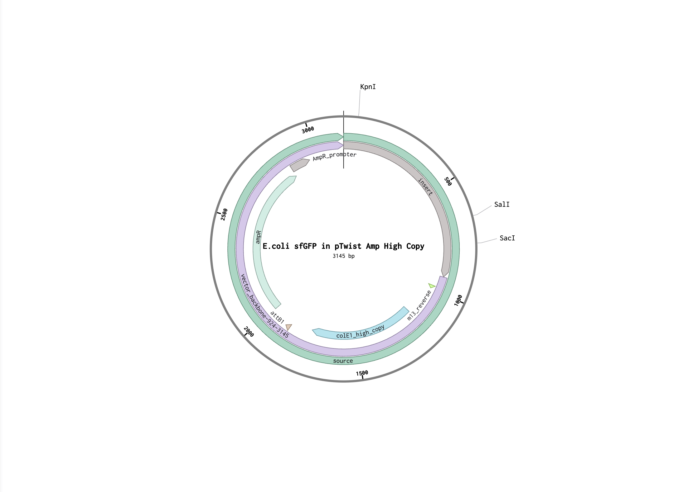 images/week-02/twist-plasmid.png