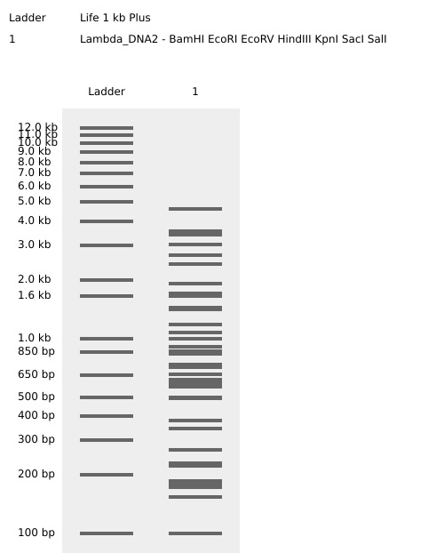 Digest with Specified Enzymes