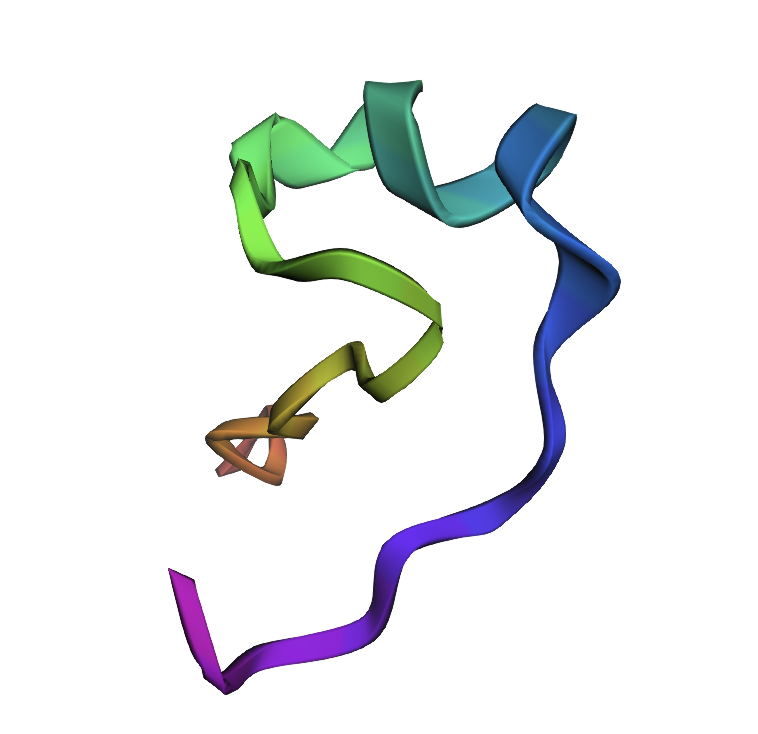 Cyclotide Folding