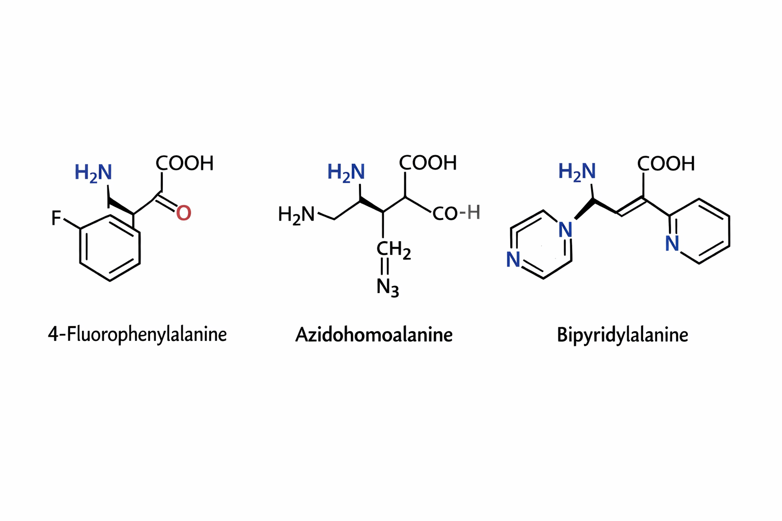 amino acids