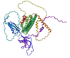 mutation1