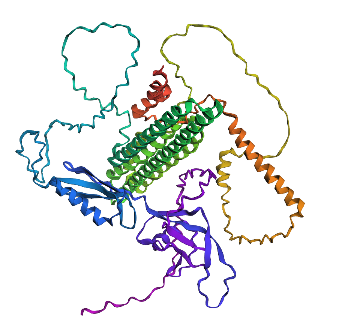mutation2