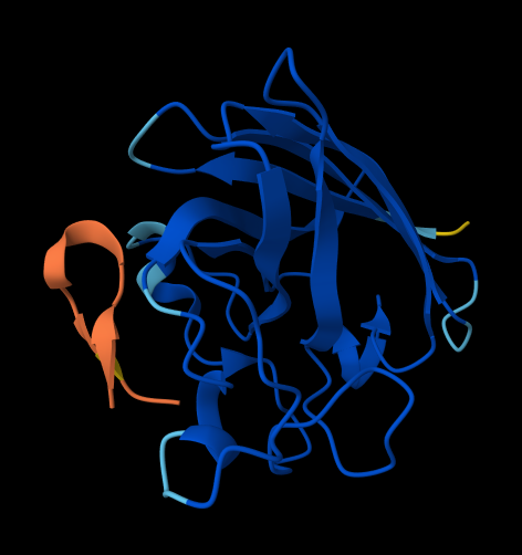 firstpeptide
