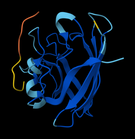 Forthpeptide