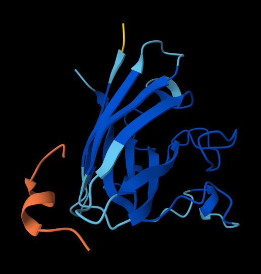 secondpeptide