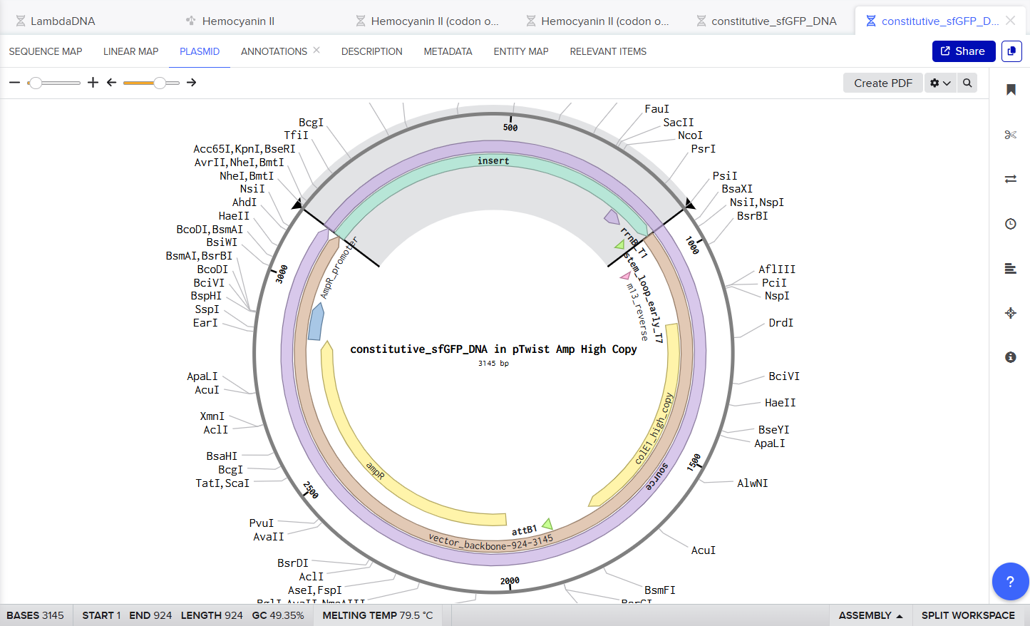Final Twist sfGFP Plasmid