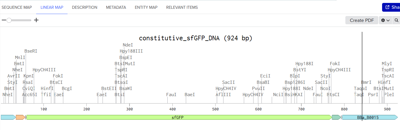 Benchling Linear Map of a Constitutive sfGFP DNA