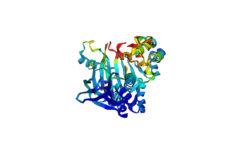 crtI Inverse Fold