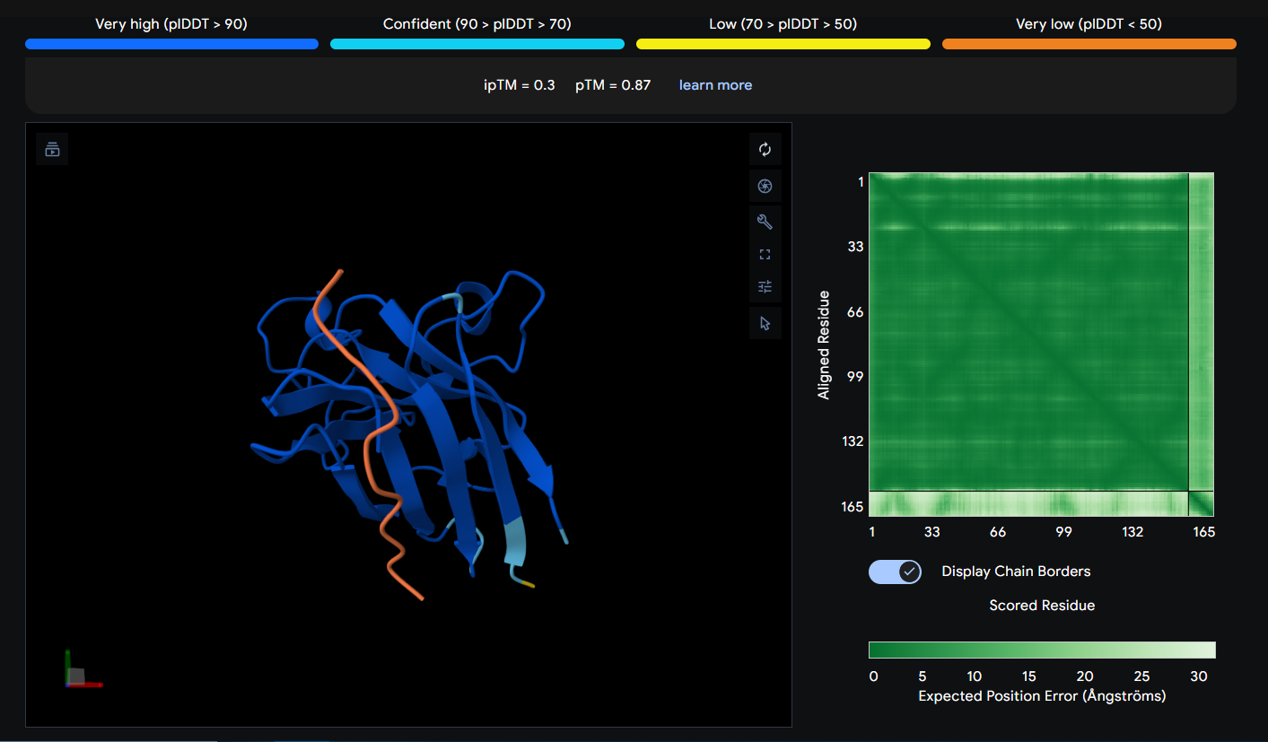 AlphaFold Prediction of Peptide 2