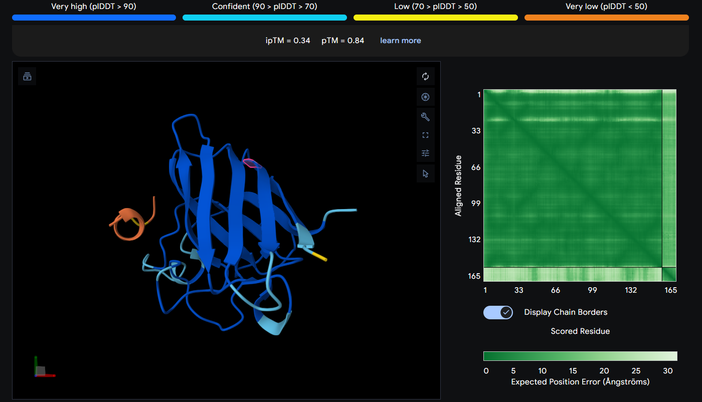 AlphaFold Prediction of Peptide 3